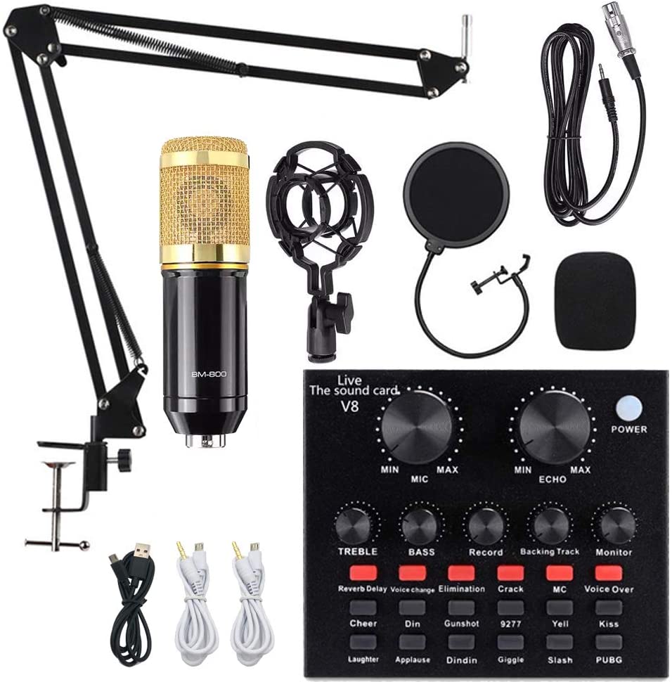 Microphone GENERIQUE Microphone Karaoke Sans Fil, Karaoké Microphone  Bluetooth Portable pour Enfants/Adultes Chanter Noir
