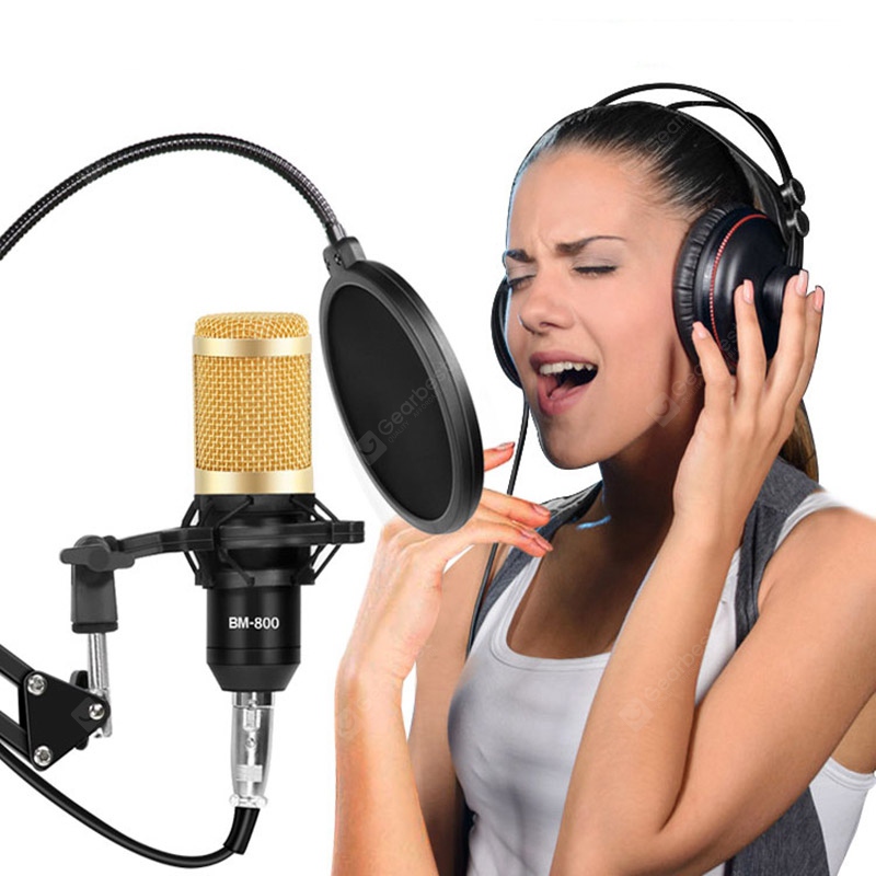 Studio d'enregistrement professionnel Interface audio Enregistrement  Externe Live Karaoke Microphone V8 Carte son Microphone à condensateur