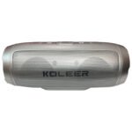 Enceinte Koleer S1000